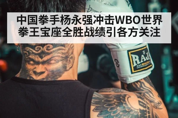 中国拳手杨永强冲击WBO世界拳王宝座全胜战绩引各方关注