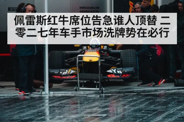 Red Bull racing team